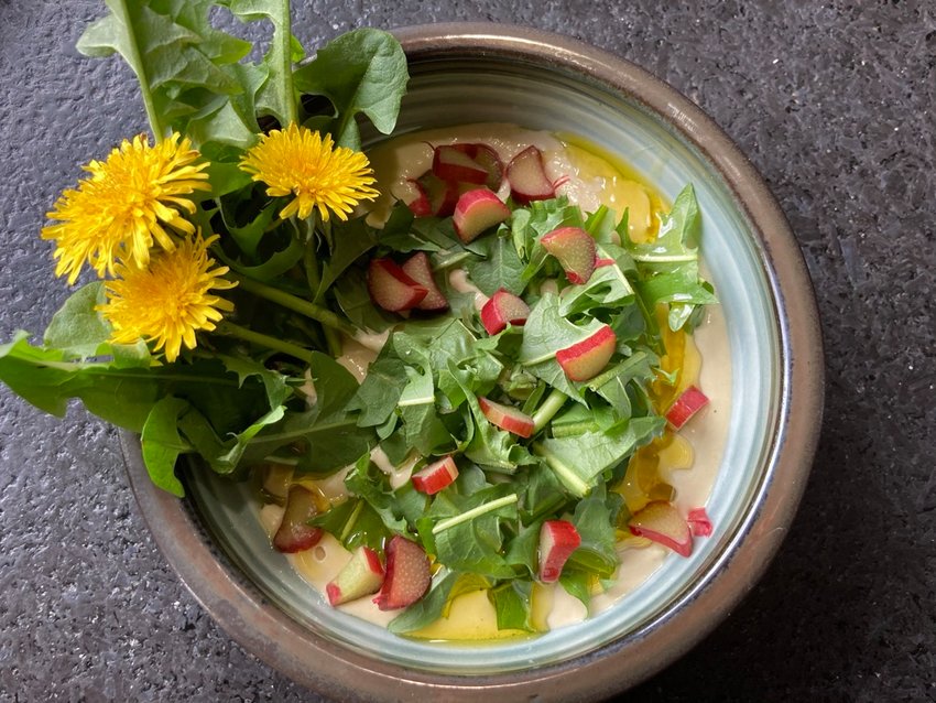 This feral salad contains many strong flavors, highlighted by bitter dandelions and the floral acidity of the rhubarb.